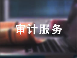 审计服务